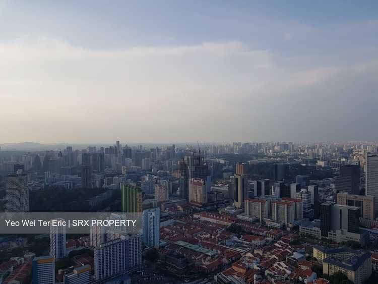 Wallich Residence At Tanjong Pagar Centre (D2), Apartment #179811392